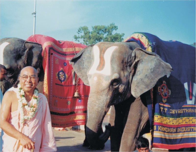 maharaja_elephants