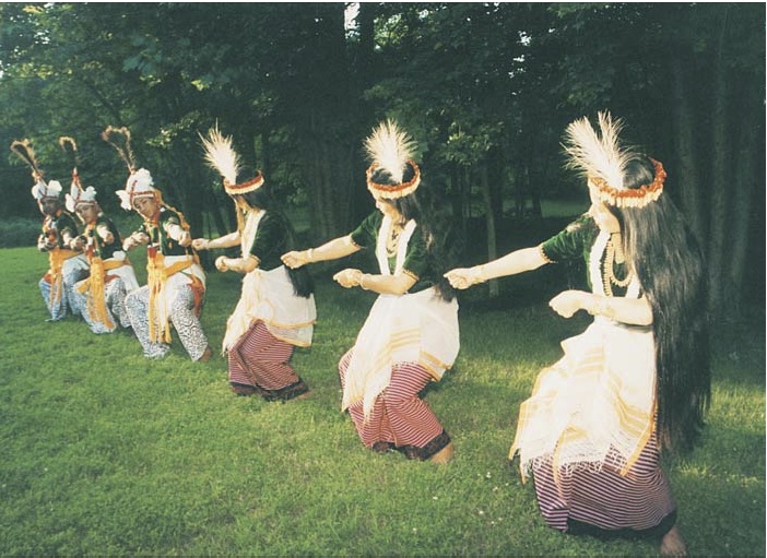 rasa_dance_forest